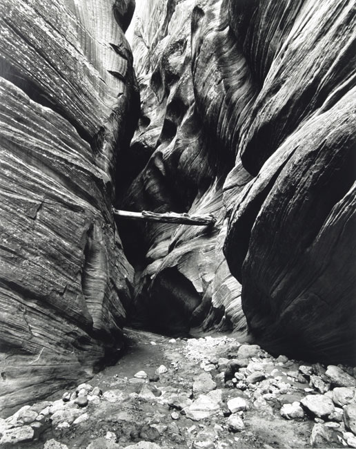 Buckskin Gulch w/ Log