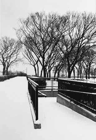 Grant Park Chicago