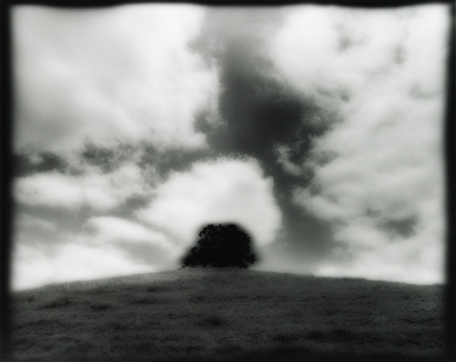 Lone Oak