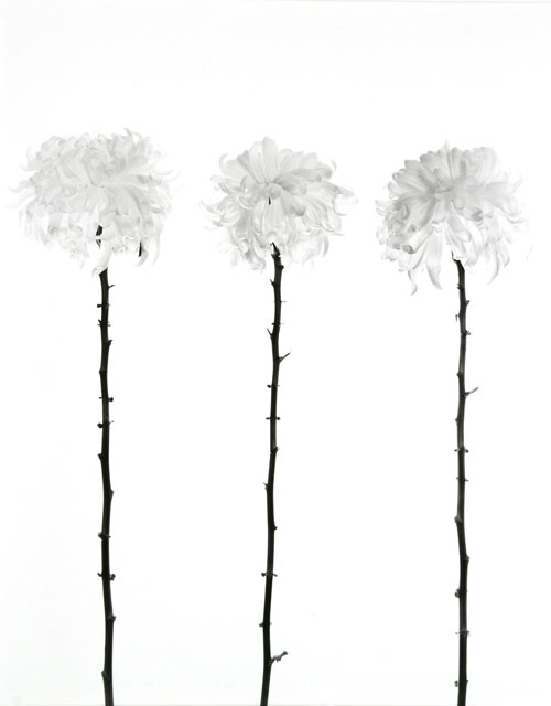 Three Mums