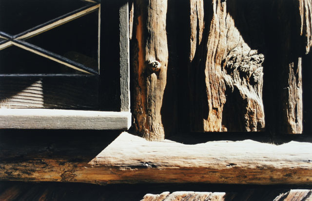 Yosemite Widow