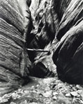 Buckskin Gulch w/ Log
