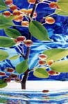 Crabapple 1