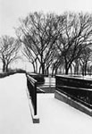 Grant Park Chicago
