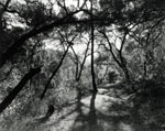 Stage Road
