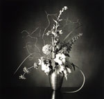 Still Life 1