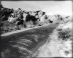 Turtle Creek Road
